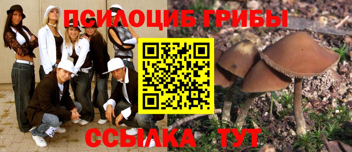 Реж  Галлюциногенные грибы GOLDEN TEACHER  Вход с VPN  Галлюциногенные грибы Psilocybe 